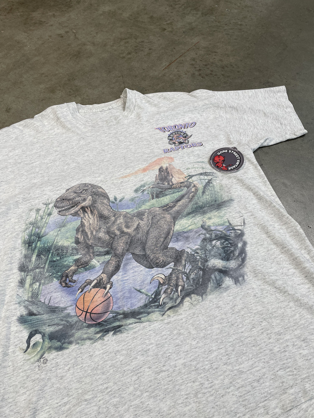Vintage 90s Toronto Raptors NBA XL 23x31 faded distressed